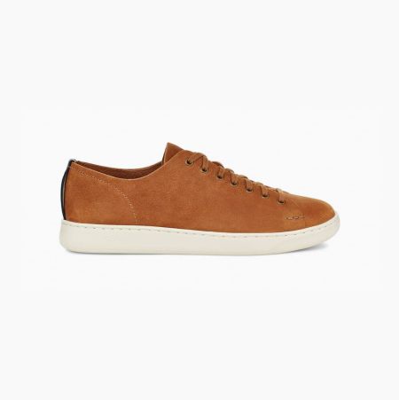 UGG Pismo Low - Joggesko Herre - Brune (NO-E635)